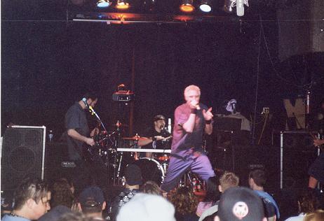 36 CrazyFists