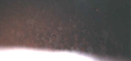 I know you can't see much, but that is the right side of the crowd.. Keep in mind, that this venue is SMALL, There were so many people, they went all the way outside..They stood out there listening, cause there wasn't room to fit inside. 