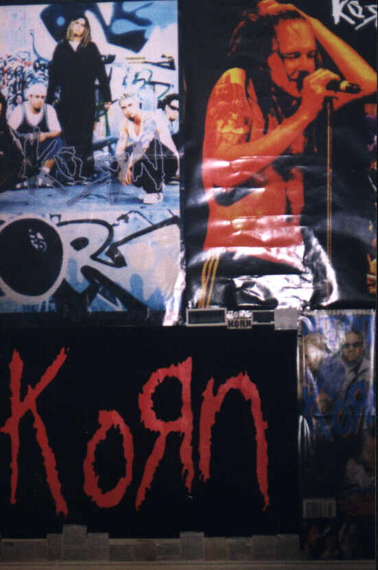 KoRn wall continued some more....sorry for the glares..