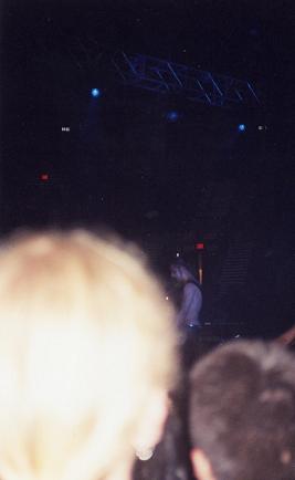 Stupid head. System Of A Down